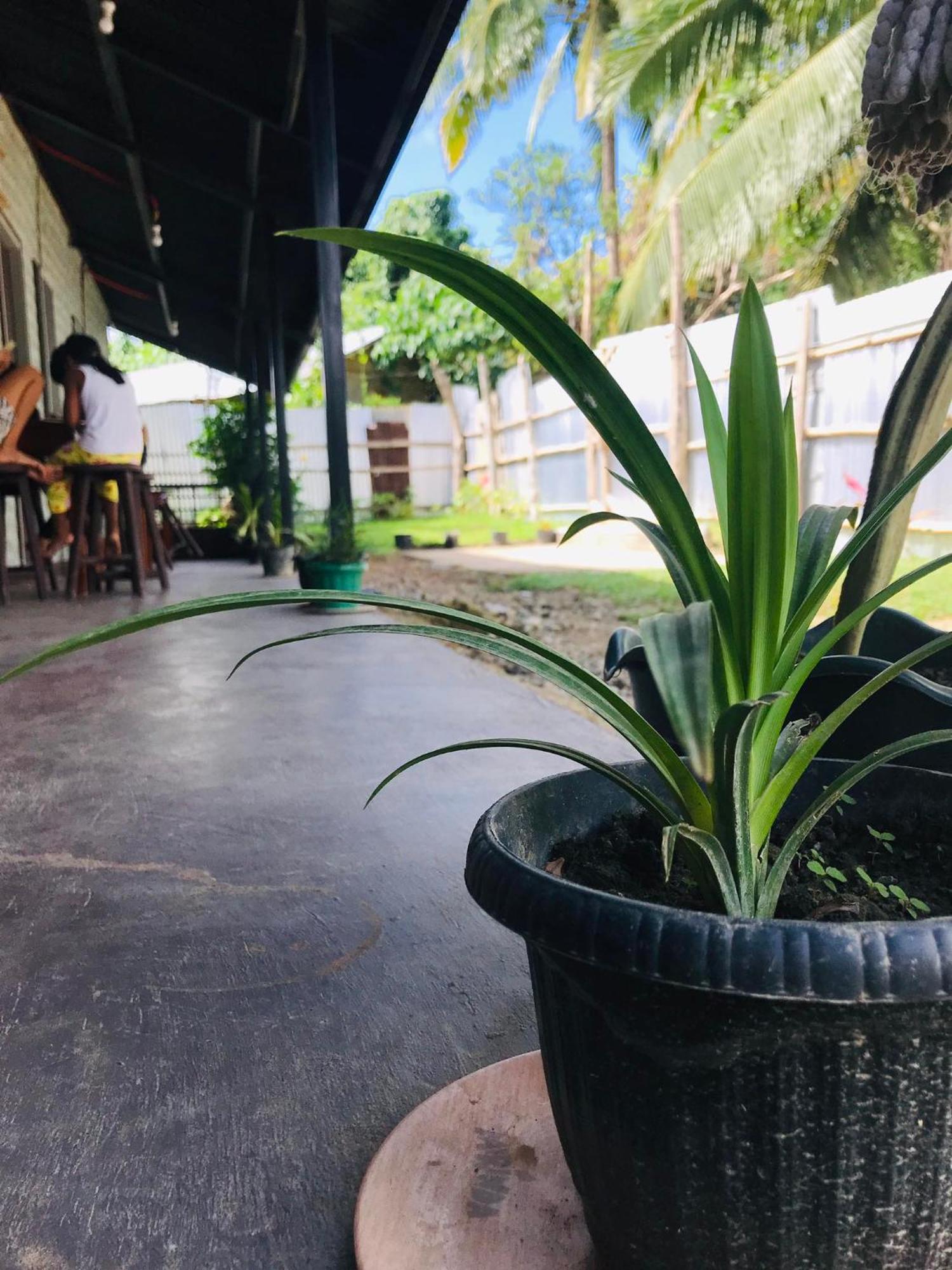 Bai Quaba Apartment El Nido Ngoại thất bức ảnh